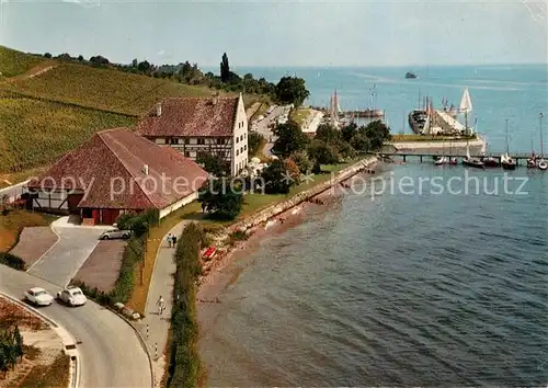 AK / Ansichtskarte Meersburg_Bodensee Rebgut Haltnau Meersburg Bodensee