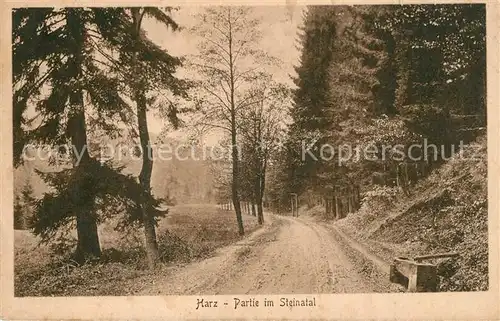 AK / Ansichtskarte Steinatal Partie im Harz Steinatal