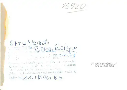 AK / Ansichtskarte Struthbach Pension Feige Terrasse Struthbach