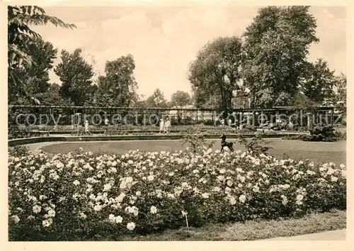 AK / Ansichtskarte Bundesgartenschau Hannover Rosengarten 