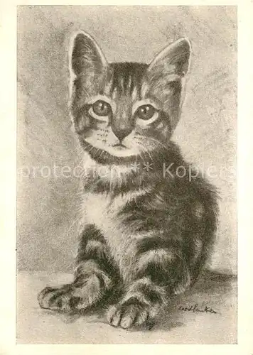 AK / Ansichtskarte Katzen Tiermaler Fred Sauter  