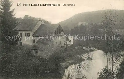 AK / Ansichtskarte Mullerthal_Petite_Suisse Vogelsmuehle Mullerthal_Petite_Suisse