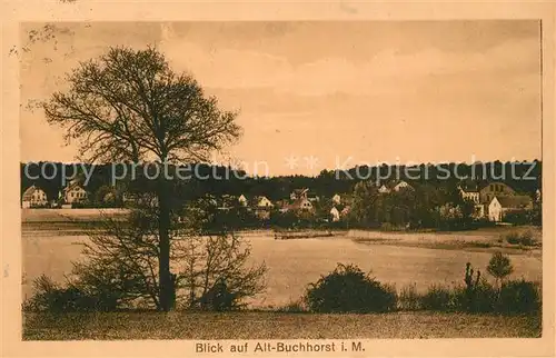 AK / Ansichtskarte Alt Buchhorst Panorama Alt Buchhorst