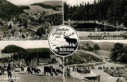 AK / Ansichtskarte Altenau_Harz Brocken Waldschwimmbad Damenkapelle Konzertgarten Altenau Harz