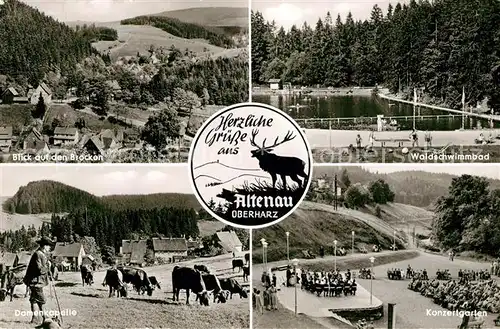 AK / Ansichtskarte Altenau_Harz Brocken Waldschwimmbad Damenkapelle Konzertgarten Altenau Harz