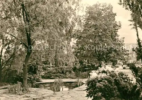 AK / Ansichtskarte Bad_Dueben Seerosenteich Kurpark Bad_Dueben