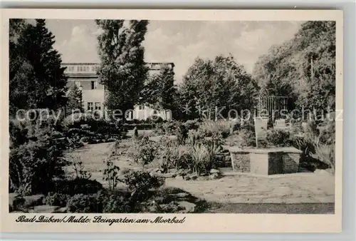 AK / Ansichtskarte Bad_Dueben Steingarten Moorbad Bad_Dueben