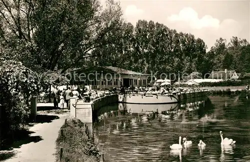 AK / Ansichtskarte Bad_Gandersheim Cafe Restaurant Seeterrassen Bad_Gandersheim