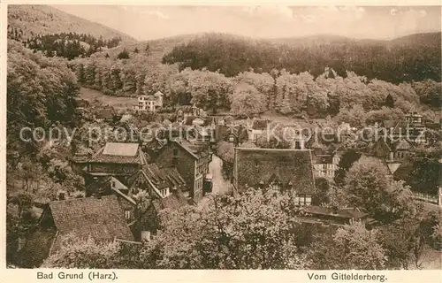 AK / Ansichtskarte Bad_Grund Panorama Blick vom Gittelderberg Bad_Grund