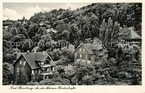 AK / Ansichtskarte Bad_Harzburg An der kleinen Hrodostrasse Bad_Harzburg