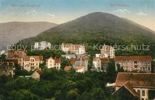 AK / Ansichtskarte Bad_Harzburg Villen am Burgberge Bad_Harzburg