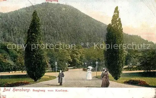 AK / Ansichtskarte Bad_Harzburg Burgberg Kurpark Bad_Harzburg