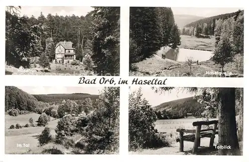 AK / Ansichtskarte Bad_Orb Landschaftspanorama Haseltal Gasthaus Haselruh Haselquelle Bad_Orb