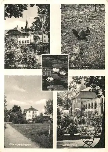 AK / Ansichtskarte Bad_Steben Villa Margarete Eichhoernchen Villa Abendfrieden Wandelhalle Bad_Steben