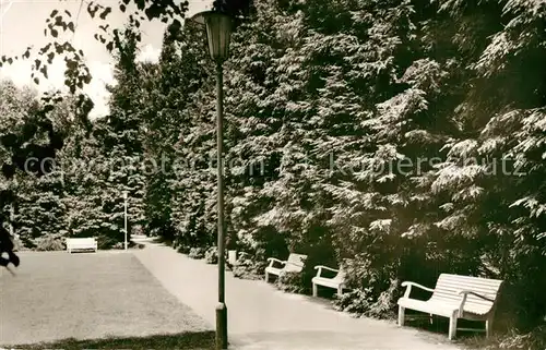 AK / Ansichtskarte Bad_Waldliesborn Kurpark Bad_Waldliesborn