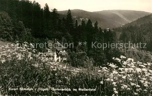 AK / Ansichtskarte Baerenfels_Erzgebirge Sommerblick ins Weisseritztal Handabzug Baerenfels Erzgebirge