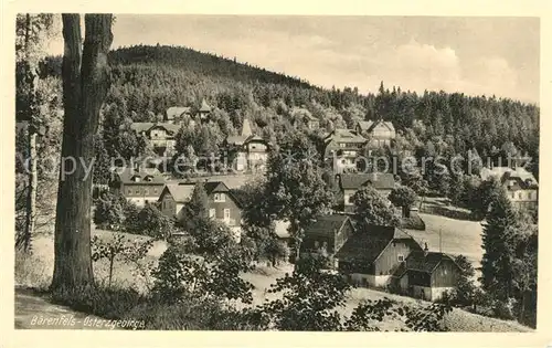 AK / Ansichtskarte Baerenfels_Erzgebirge  Baerenfels Erzgebirge