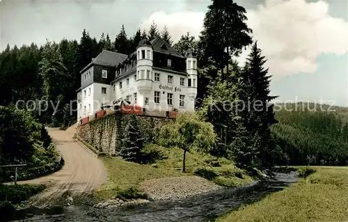 AK / Ansichtskarte Bernstein_Wald Gasthaus Pension Fels Bernstein_Wald