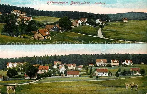 AK / Ansichtskarte Bockswiese Hahnenklee_Harz Panorama Bockswiese Hahnenklee