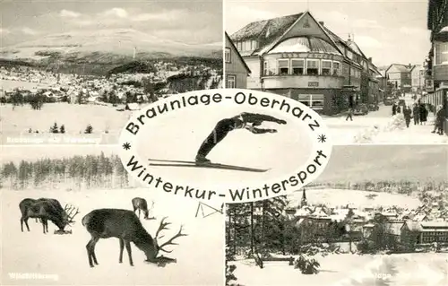 AK / Ansichtskarte Braunlage Winterlandschaften Hirsche Braunlage