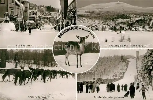 AK / Ansichtskarte Braunlage Brunnen Wurmberg Wildfuetterung Wurmbergschanze Winter Braunlage