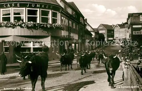 AK / Ansichtskarte Braunlage Damenkapelle Ochsenherde Cafe Junker Braunlage