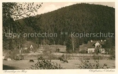 AK / Ansichtskarte Braunlage Oberfoersterei Oderhaus Braunlage