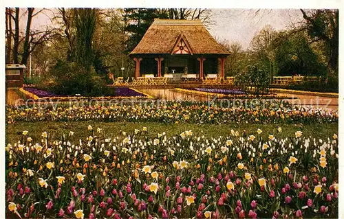 AK / Ansichtskarte Bundesgartenschau Dresden Blumenanlage Imbisshalle  