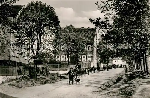 AK / Ansichtskarte Buntenbock Damenkapelle Buntenbock