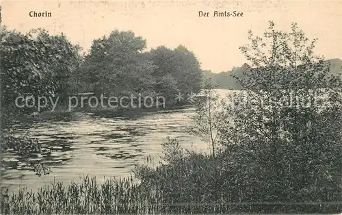 AK / Ansichtskarte Chorin Der Amts See Chorin