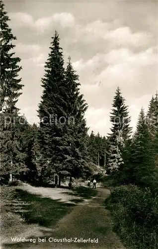 AK / Ansichtskarte Clausthal Zellerfeld Waldweg Clausthal Zellerfeld