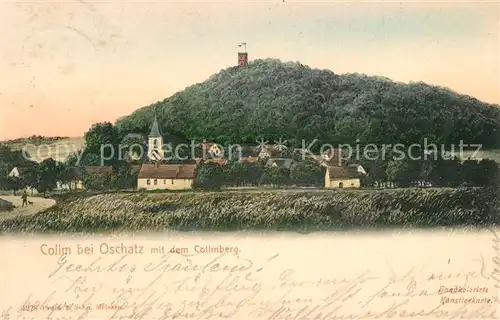 AK / Ansichtskarte Collm Burg Panorama Collm