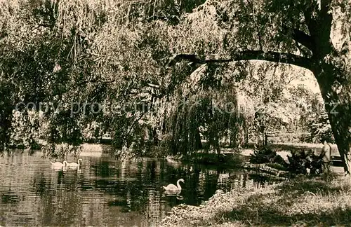 AK / Ansichtskarte Dahme_Mark Stadtpark Dahme_Mark