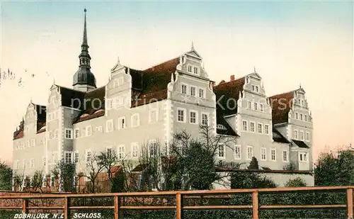 AK / Ansichtskarte Dobrilugk Schloss Dobrilugk
