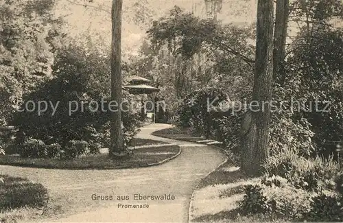 AK / Ansichtskarte Eberswalde Promenade Eberswalde