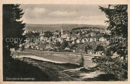 AK / Ansichtskarte Eibenstock  Eibenstock