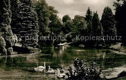 AK / Ansichtskarte Einbeck_Niedersachsen Kraehengraben Schwanenteich Einbeck Niedersachsen
