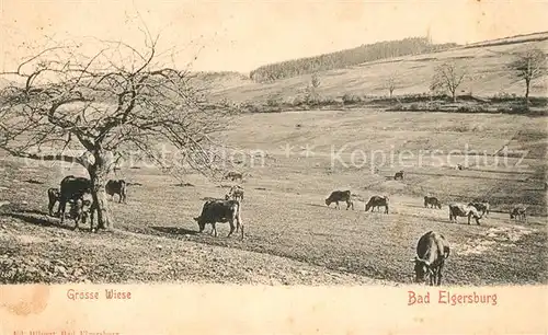 AK / Ansichtskarte Elgersburg Kuherde Wiese Elgersburg