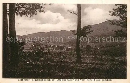 AK / Ansichtskarte Elkeringhausen Orketal Panorama Elkeringhausen