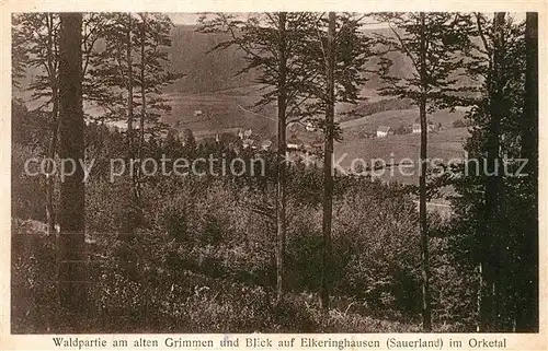 AK / Ansichtskarte Elkeringhausen Waldpartie am alten Grimmen  Elkeringhausen