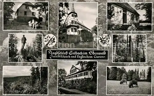 AK / Ansichtskarte Eulbach Jagdschloss Wildpark Englischer Garten Denkmal Statue Eulbach