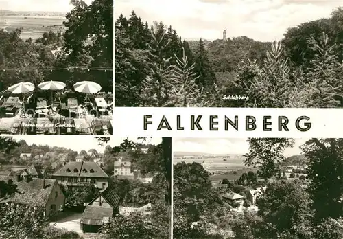 AK / Ansichtskarte Falkenberg_Mark Terrasse Carlsburg Schlossberg Falkenberg Mark