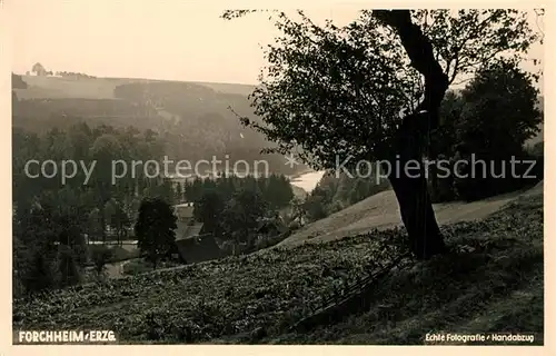 AK / Ansichtskarte Forchheim_Erzgebirge  Forchheim Erzgebirge