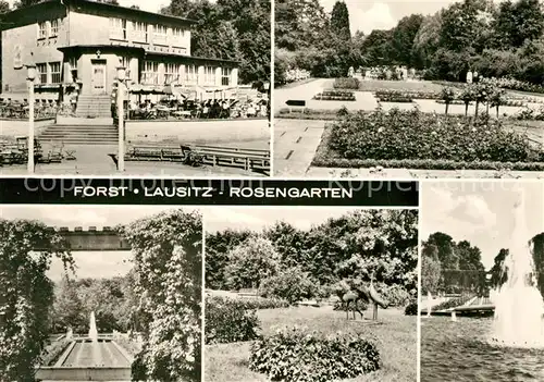 AK / Ansichtskarte Forst_Lausitz Rosengarten Forst_Lausitz