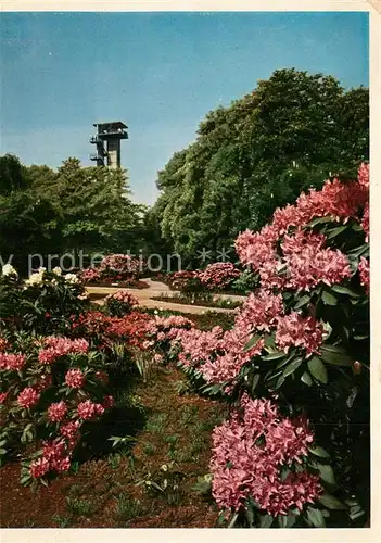 AK / Ansichtskarte Gartenbauaustellung Hamburg Staudengarten 