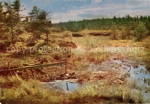 AK / Ansichtskarte Georgenfeld Naturschutzgebiet Georgenfelder Hochmoor Georgenfeld