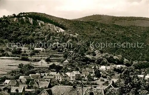 AK / Ansichtskarte Gimmeldingen Panorama Gimmeldingen
