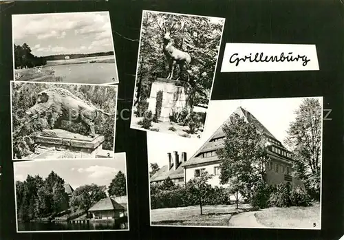 AK / Ansichtskarte Grillenburg Wildschwein Gondelteich Hirsch Elsa Fenske Kurheim Grillenburg