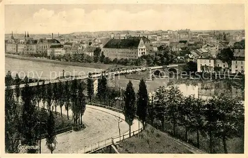 AK / Ansichtskarte Grimma Bruecke Panorama Grimma