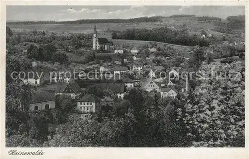 AK / Ansichtskarte Hainewalde Panorama Hainewalde
